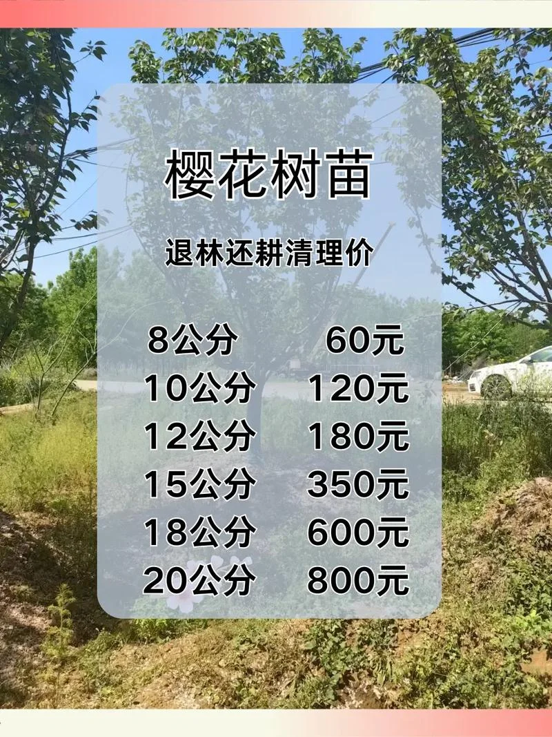 苗木绿化多少钱_1