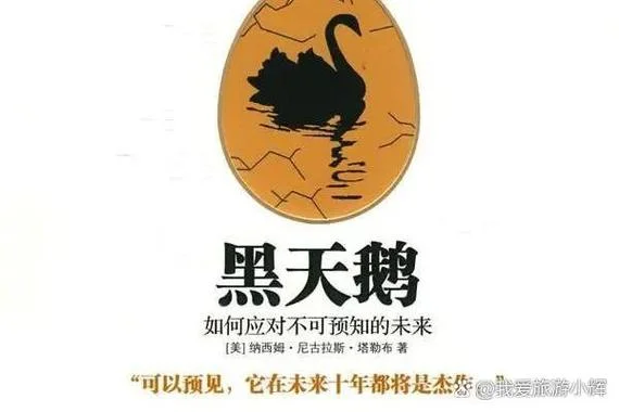 什么是黑天鹅事件例子_1