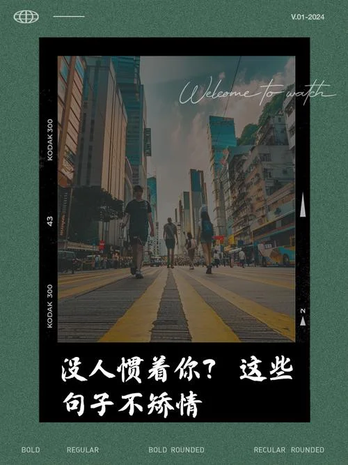 惯着你的臭毛病文案_1