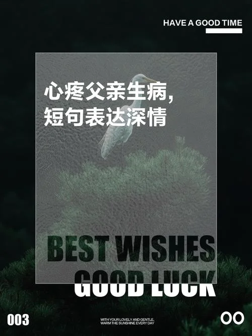 梦见爸爸生病很厉害_1