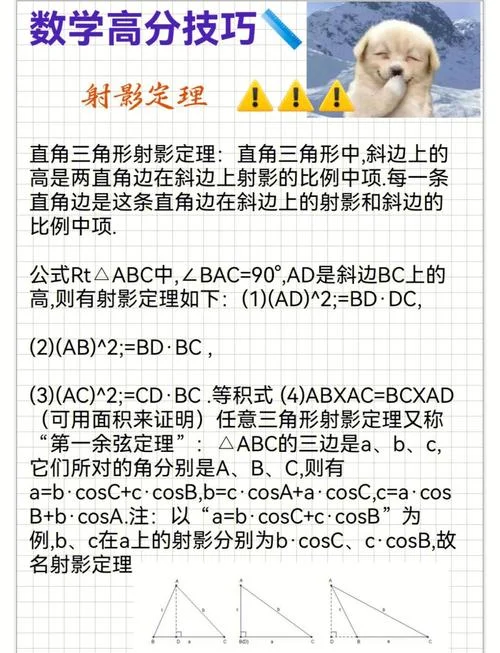 初中射影定理的三个公式-初中射影定理三公式