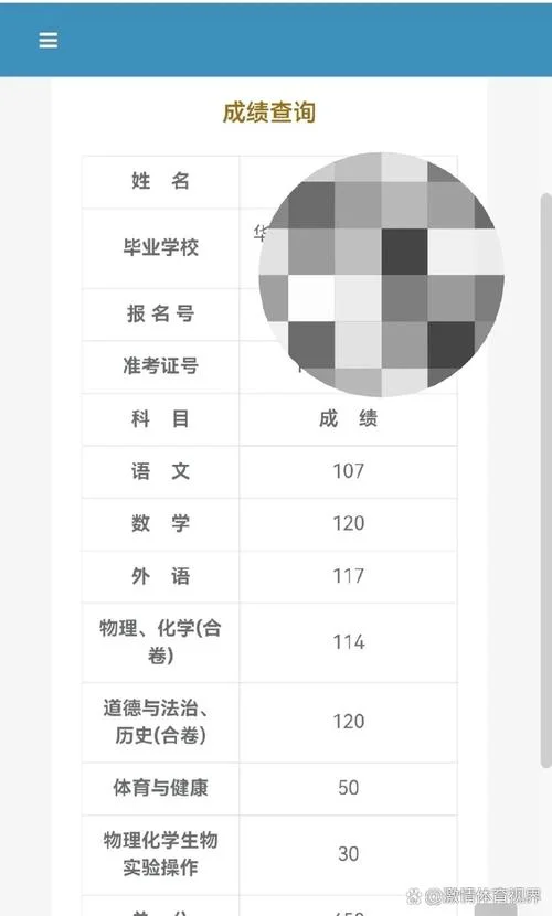初中毕业成绩查询-初中毕业成绩查询