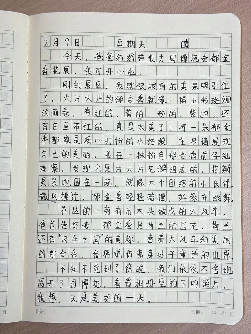 用日记的形式写作文_2