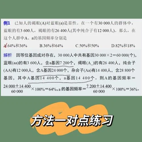 基因频率的公式_1