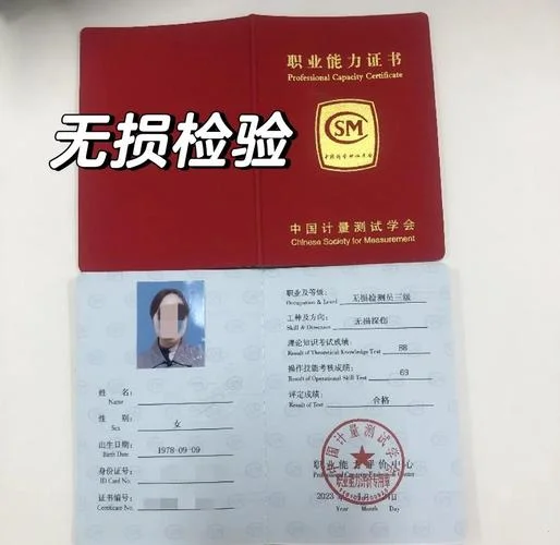 探伤证书查询_1