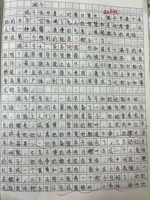 端午节作文800字记叙文-端午记叙文 800 字