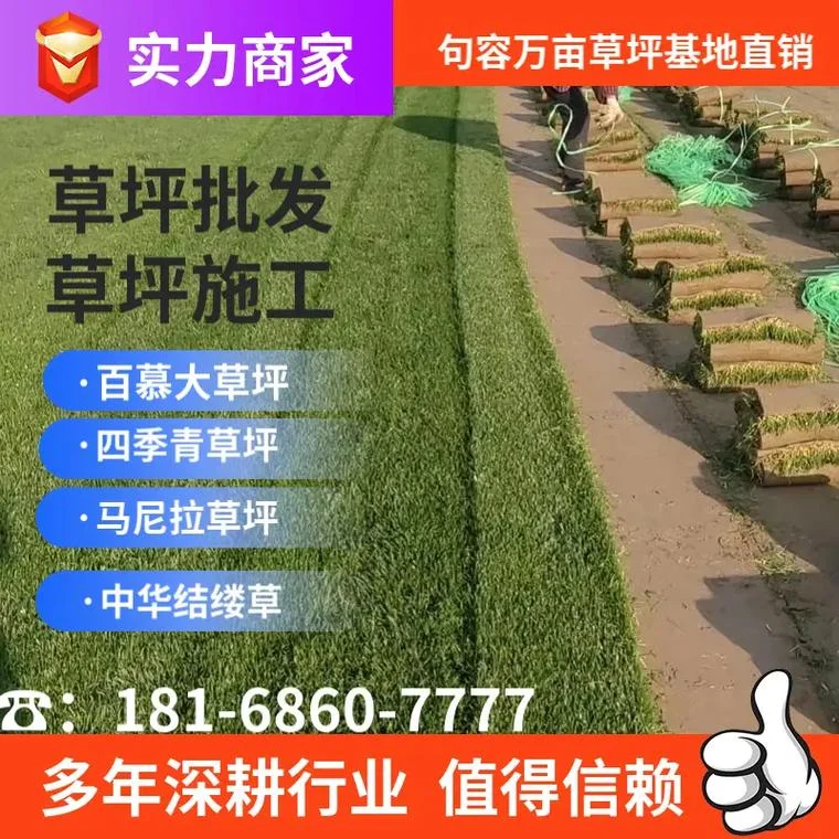 草坪公司取什么名字好_1