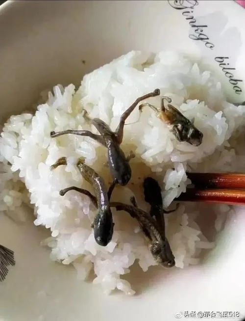 梦见自己吃东西好恶心_1