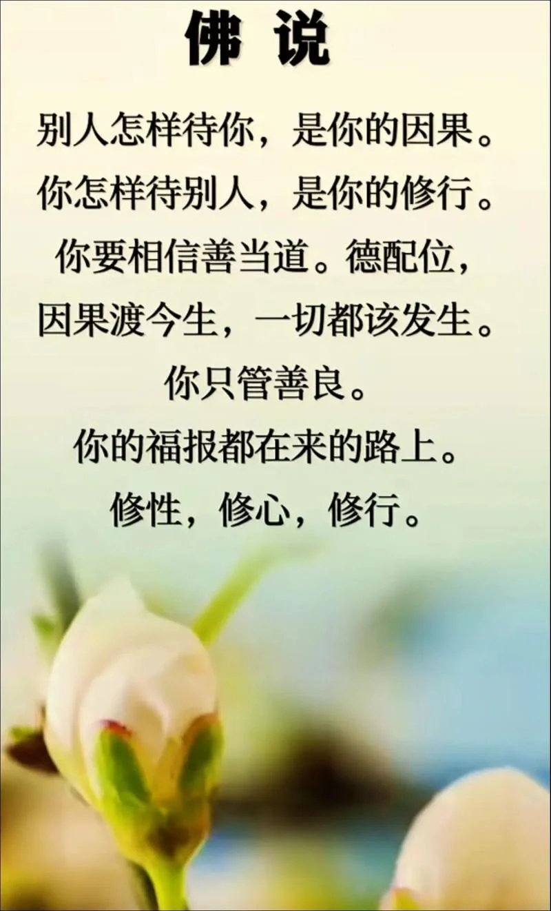佛的人生感悟的句子-佛人生感悟短句