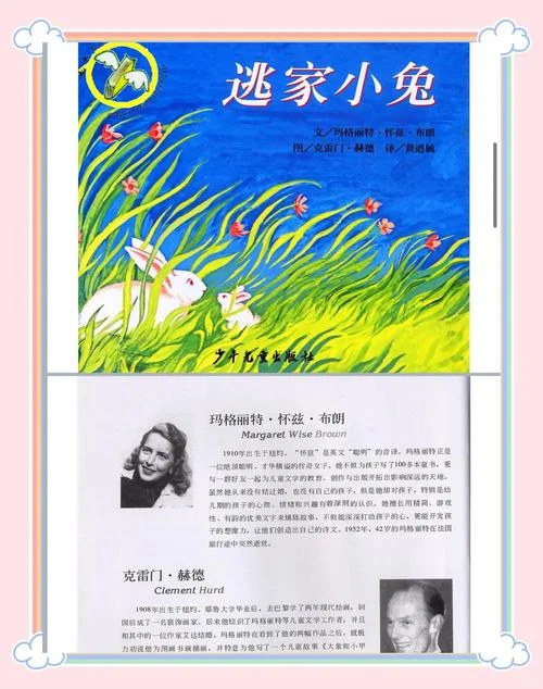 兔子的作者_1