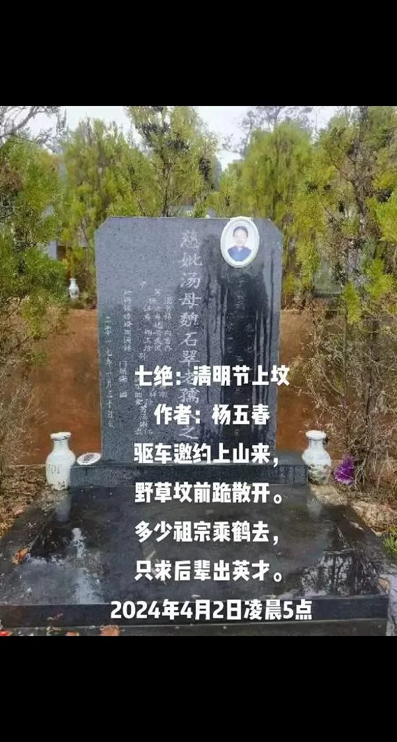 坟的作者是谁_2