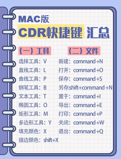 cdr软件对电脑配置的要求-电脑配置对 cdr 软件