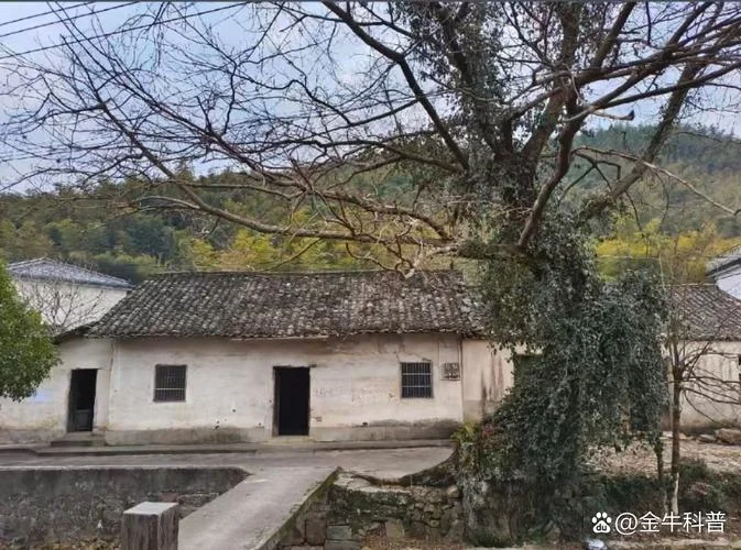 梦见别人家老房子翻新_1