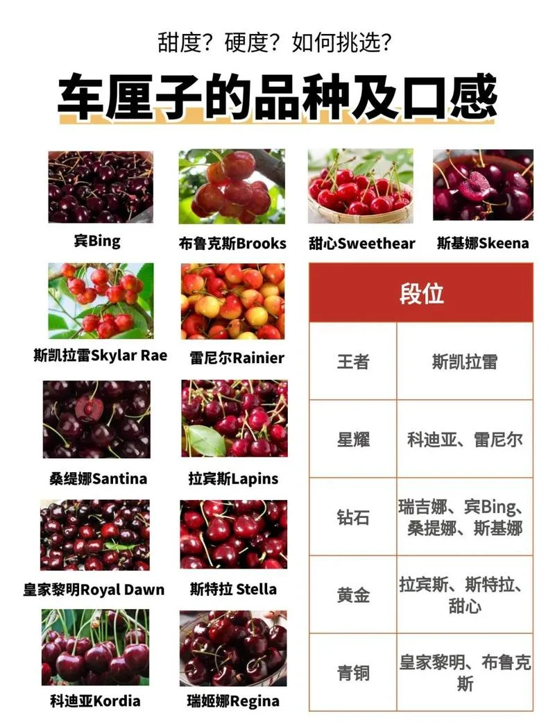 车厘子几月-车厘子最佳采摘月