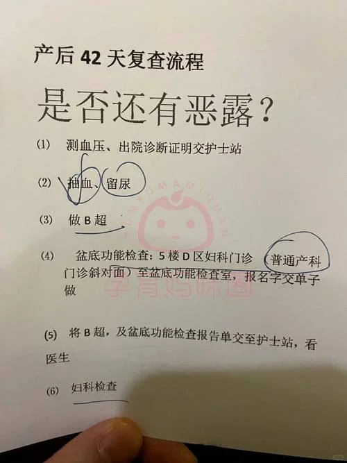 出生医学证明丢了怎么办_1