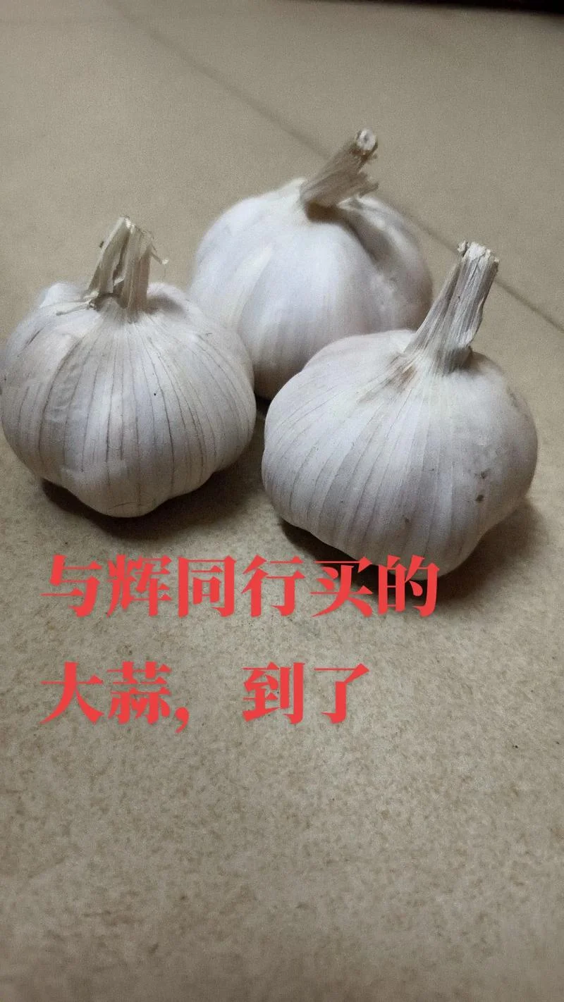 梦到大蒜个头特别大_1