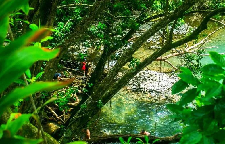 徒步探险_1