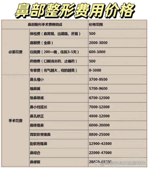 现在整个鼻子多少钱_2