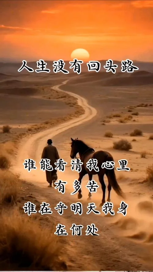 人生不归路感悟-人生归路感悟