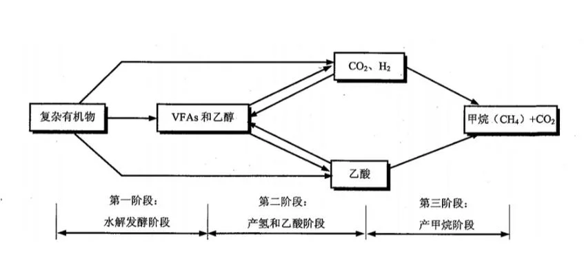 氧化苦参碱原理_1