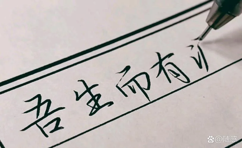 而知也无涯上一句-知也无涯上一句