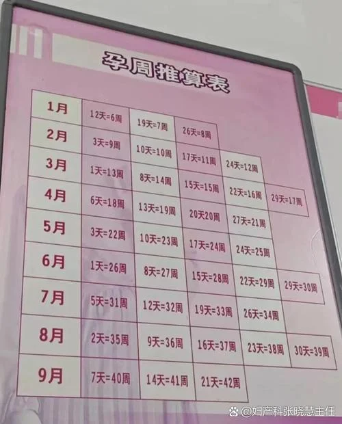怎么算预产期计算公式_2