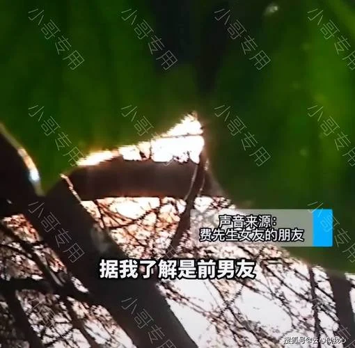 梦见订婚男友拿不出钱_1