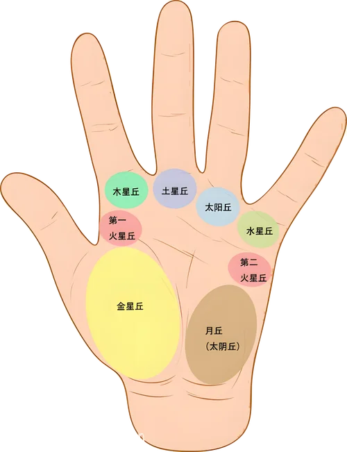 看手相基本常识_2