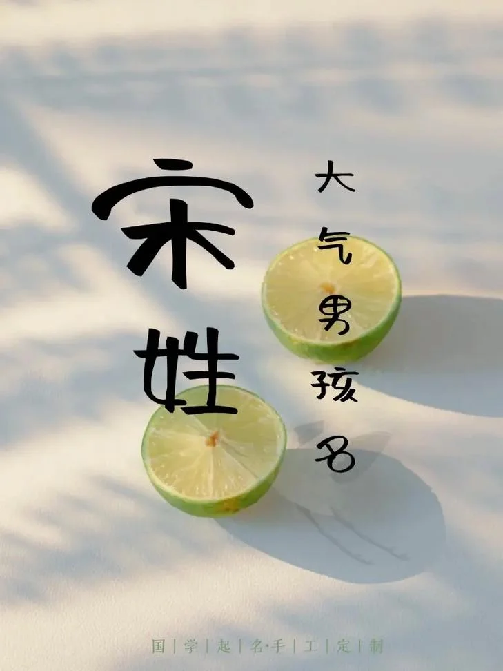 姓宋男孩起名两个字-宋姓男孩双字名