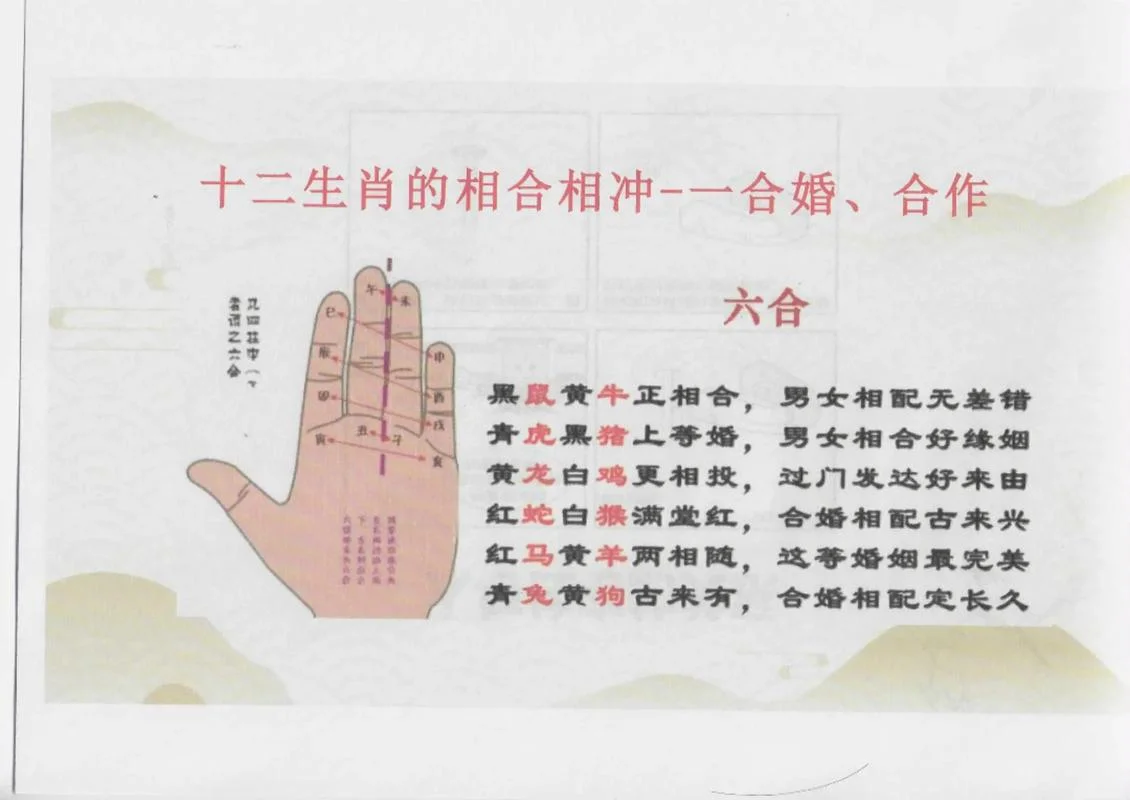 属相_1
