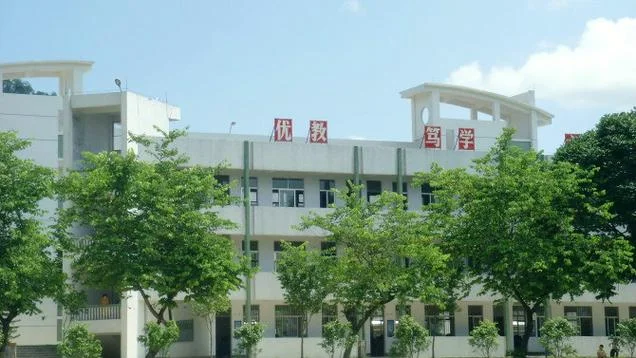普宁梅峰中学校长_2