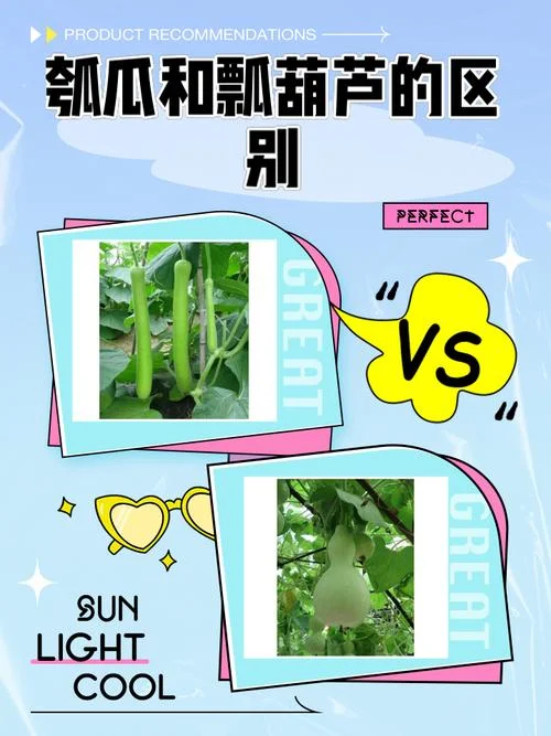 瓜瓞延绵是什么意思-瓜瓞延绵含义