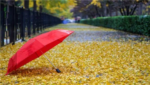 梦见撑雨伞是什么意思_2