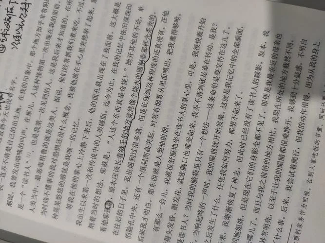 我是猫读后感结尾-读后感结尾重写