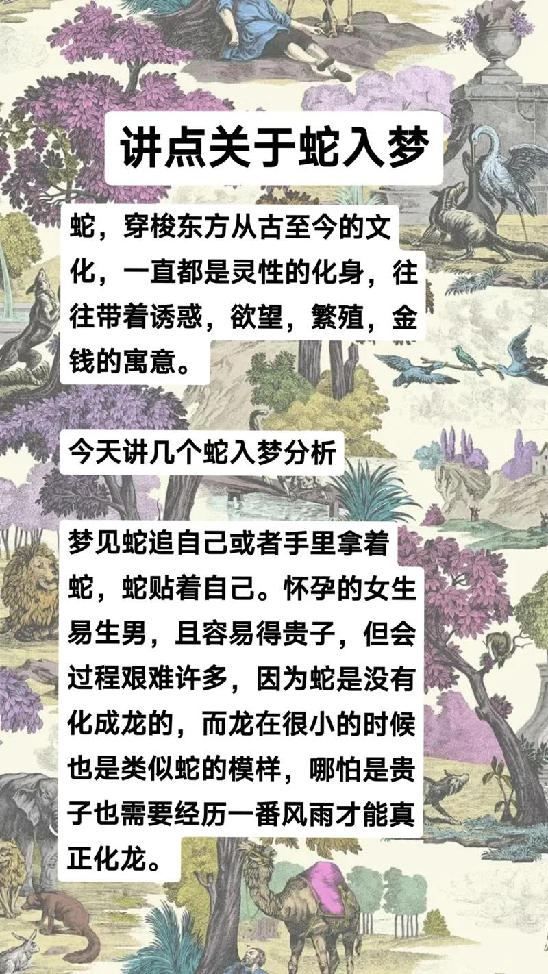 什么孕妇意思梦见蛇-孕妇梦蛇含义
