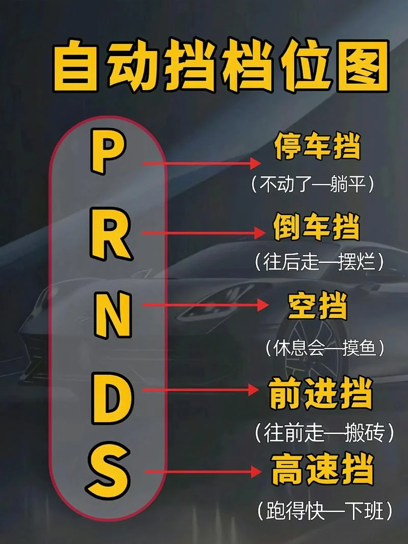 7代雅阁自动挡车档位介绍_1