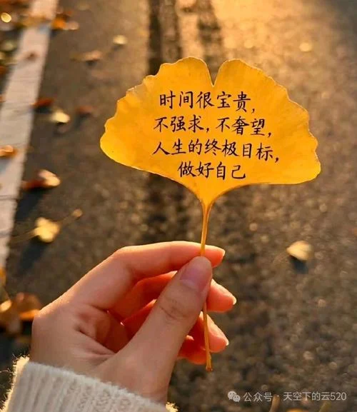 生活感悟句子简短励志_2