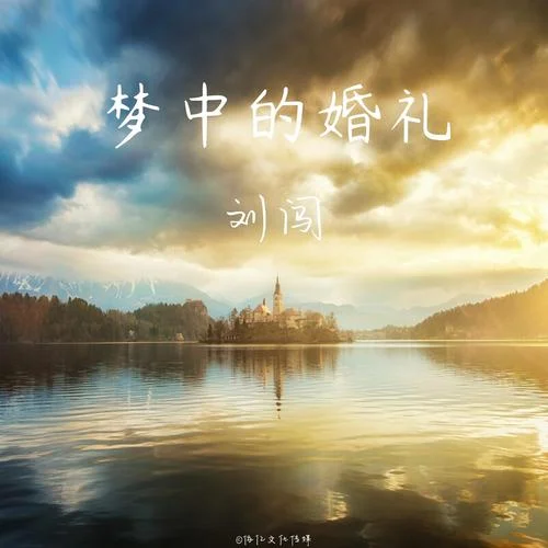 梦到婚礼很多人没邀请_2