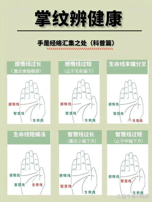 看手相怎么回答_1