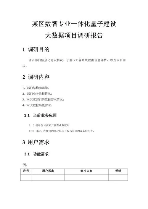 咨询项目报告_2