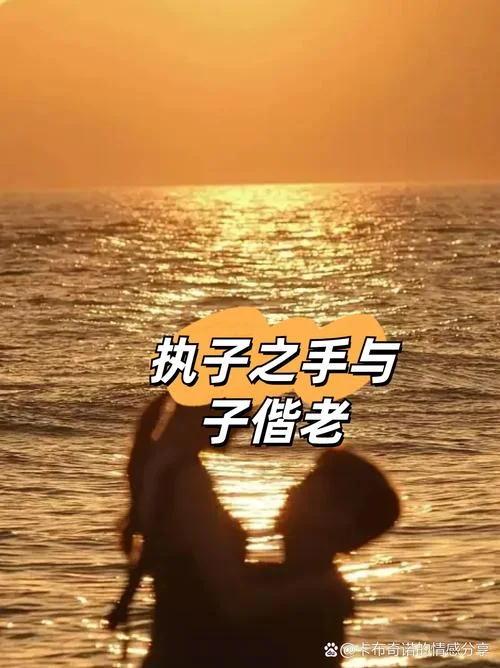 与子偕老的上一句-百年好合上