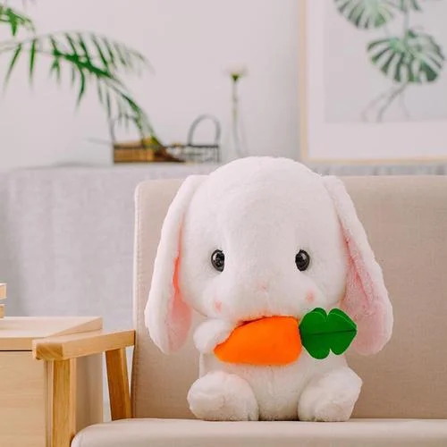 公主兔多少钱一只视频_1