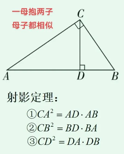 直角三角形判定定理_1