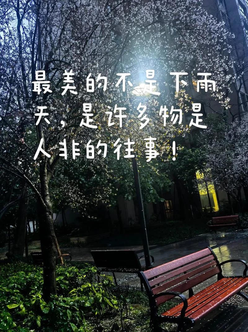 天天下雨烦死了说说_2