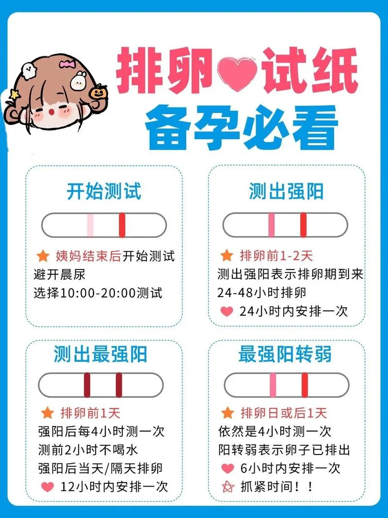 如何查卵泡-精准查卵泡方法