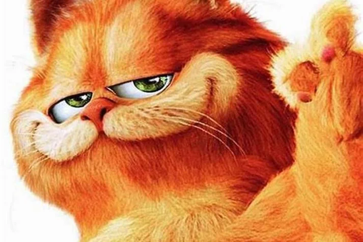 梦见猫说话有意思_1
