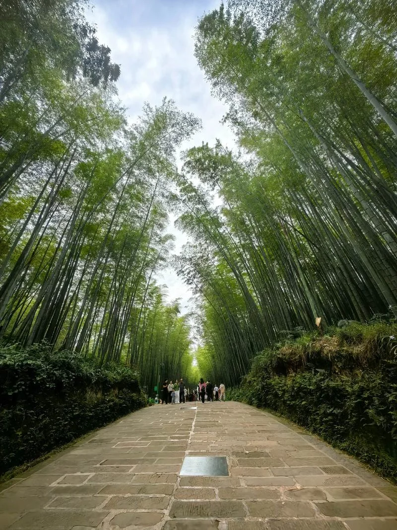 凉爽的旅游景点宜宾_1