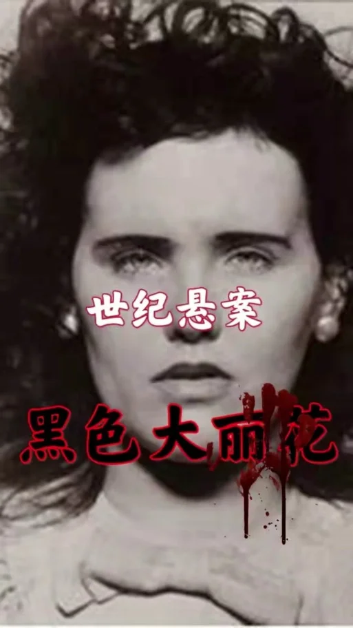 电影黑色大丽花结局-电影黑色大丽花结局