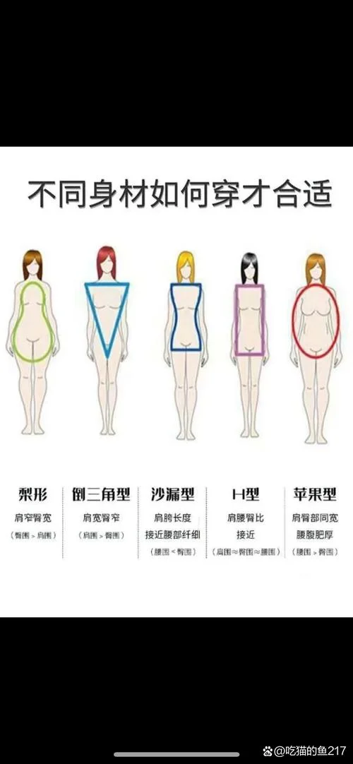 服装分分比例公式_1
