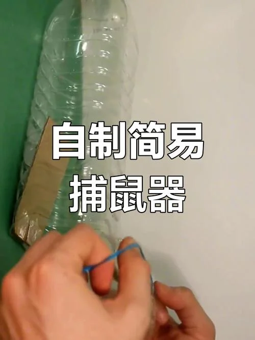 老鼠技能怎么用_1